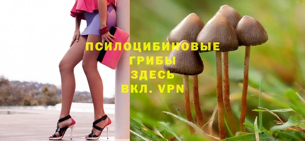 трава Балахна