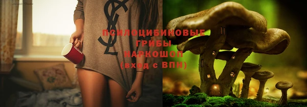 трава Балахна