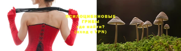 трава Балахна