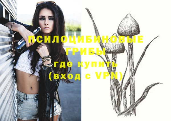 кокс Баксан