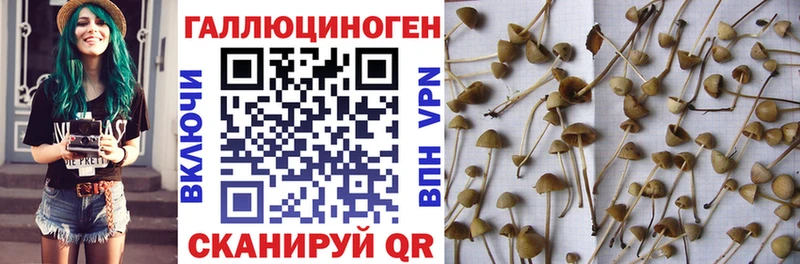 Псилоцибиновые грибы ЛСД  Купить где  Наро-Фоминск 